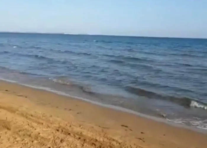 Aloha Sicily