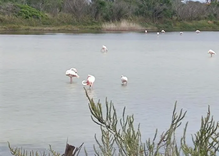 Aloha Sicily 度假居